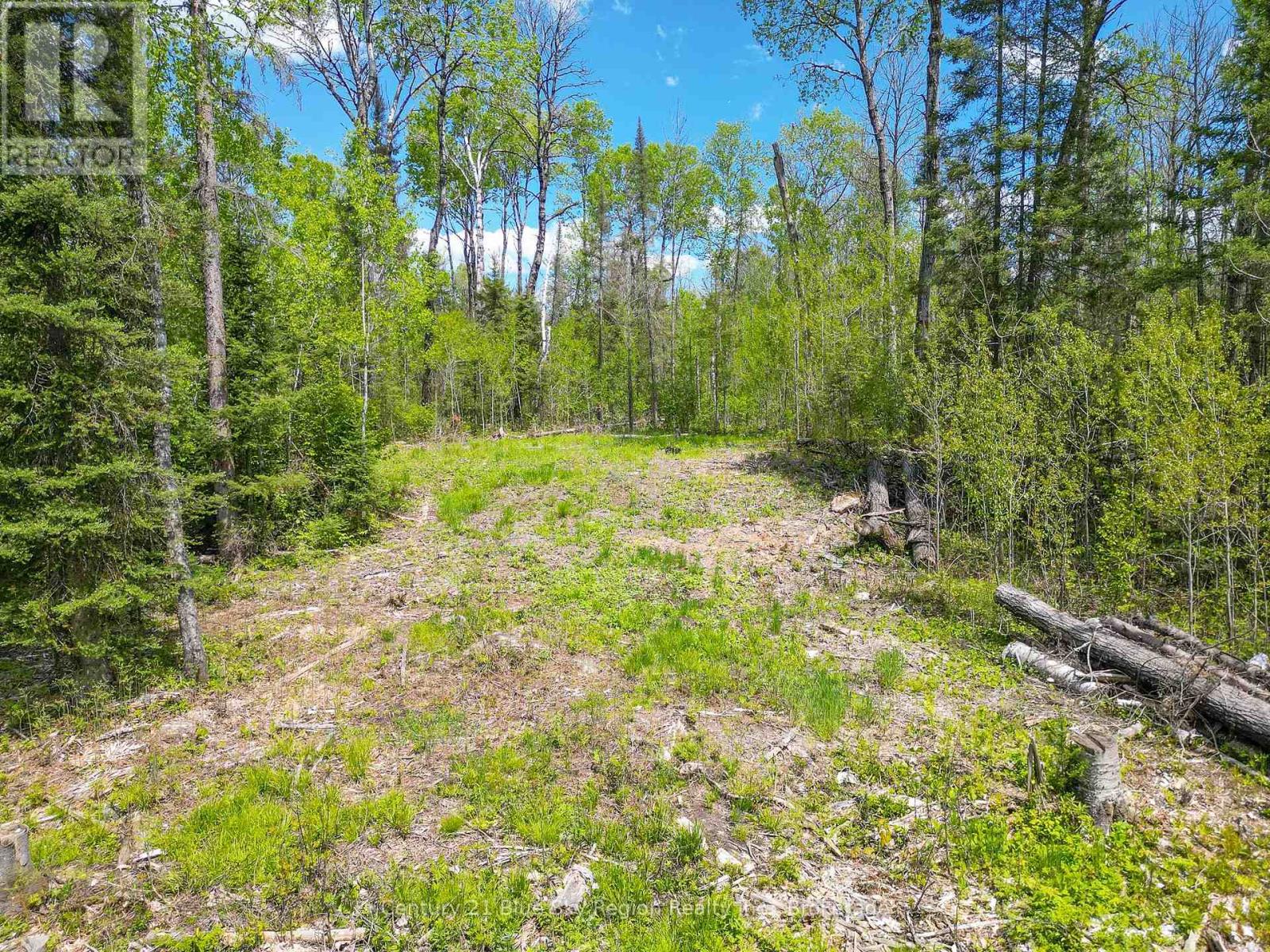 13 One Mile Road, East Ferris, Ontario  P0H 1K0 - Photo 15 - X12392444
