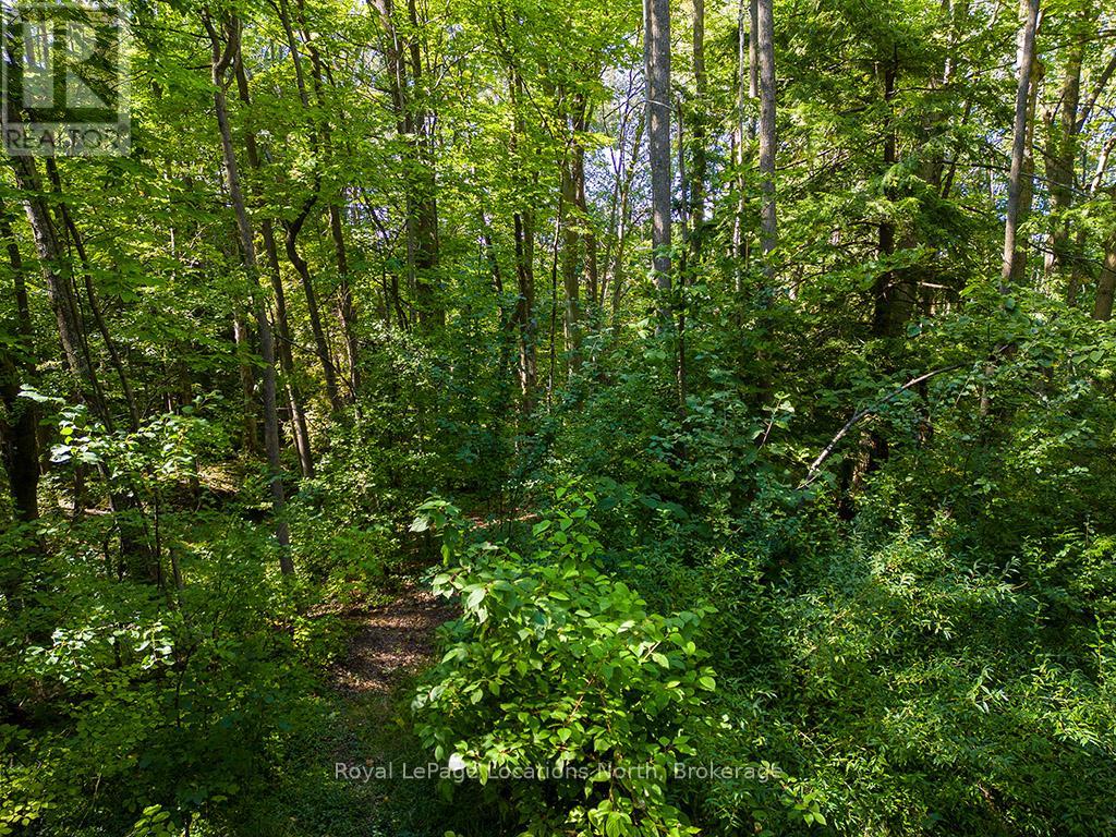 64 Ivan Street, Meaford, Ontario  N4L 1C8 - Photo 22 - X12392739