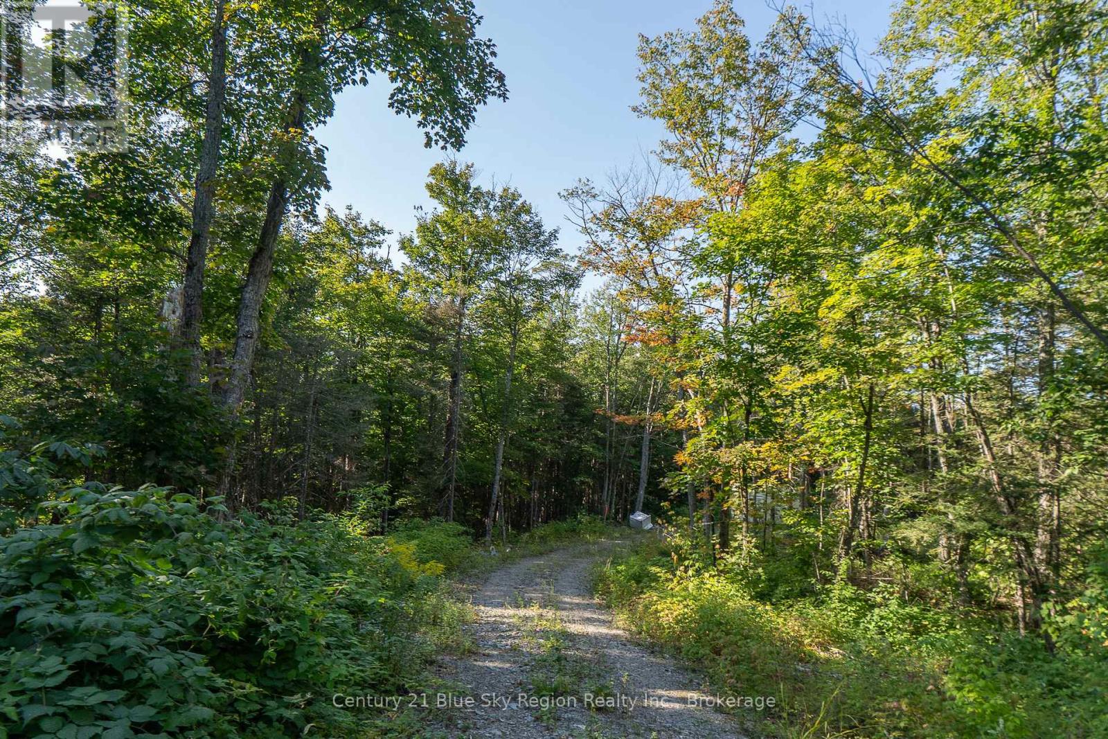 1060 Lot 7 Four Mile Lake Road, North Bay (Airport), Ontario  P1B 8G2 - Photo 3 - X12387802