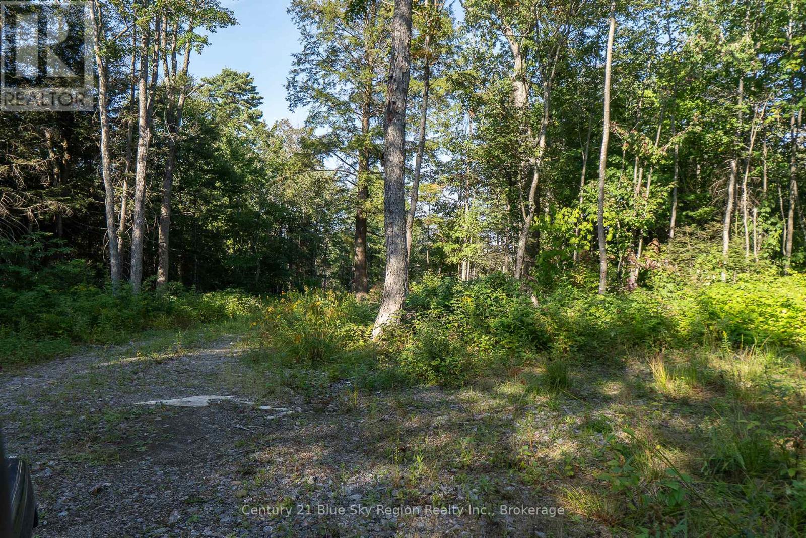 1060 Lot 7 Four Mile Lake Road, North Bay (Airport), Ontario  P1B 8G2 - Photo 6 - X12387802