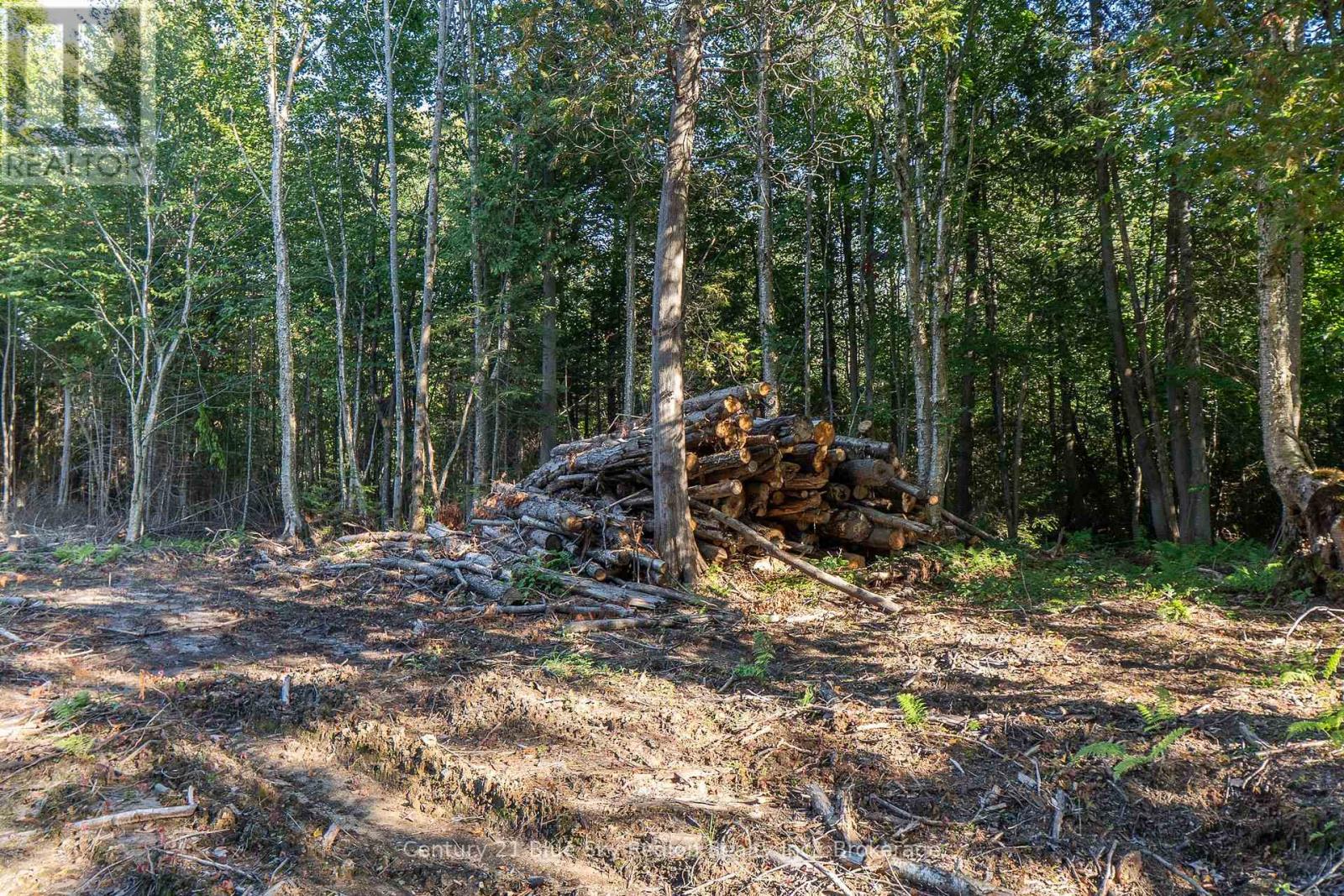 1060 Lot 7 Four Mile Lake Road, North Bay (Airport), Ontario  P1B 8G2 - Photo 12 - X12387802