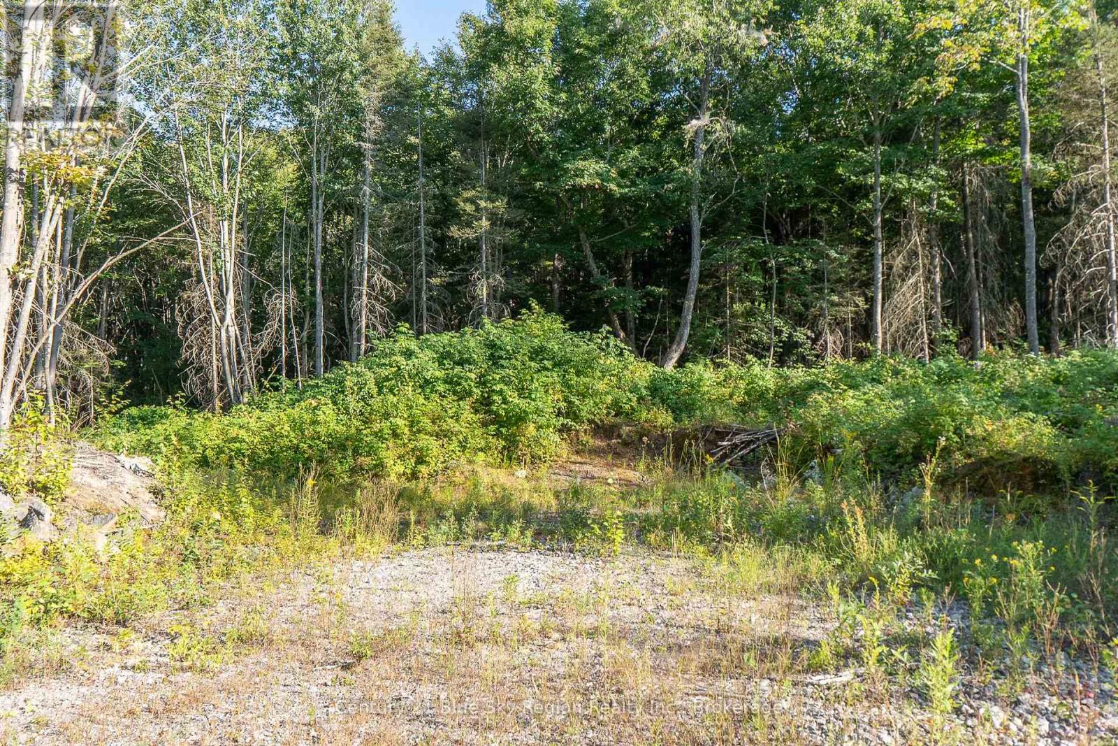 1060 Lot 7 Four Mile Lake Road, North Bay (Airport), Ontario  P1B 8G2 - Photo 11 - X12387802