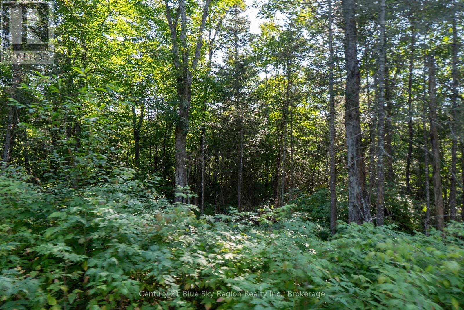 1060 Lot 7 Four Mile Lake Road, North Bay (Airport), Ontario  P1B 8G2 - Photo 4 - X12387802