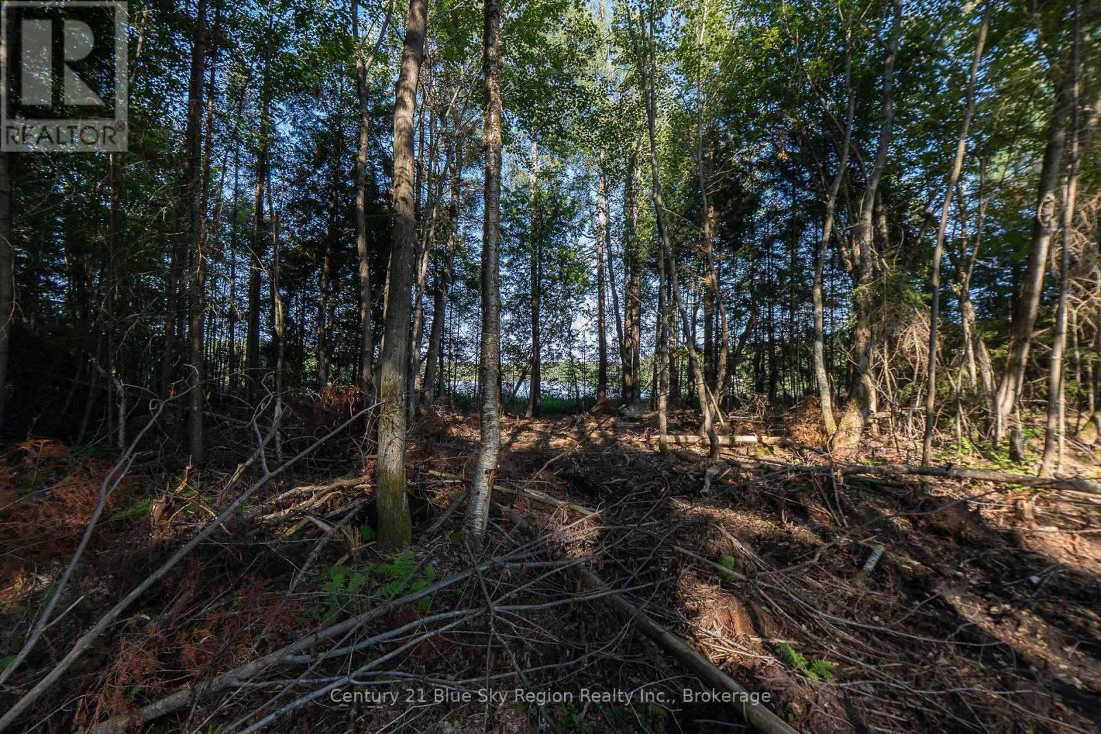 1060 Lot 7 Four Mile Lake Road, North Bay (Airport), Ontario  P1B 8G2 - Photo 15 - X12387802