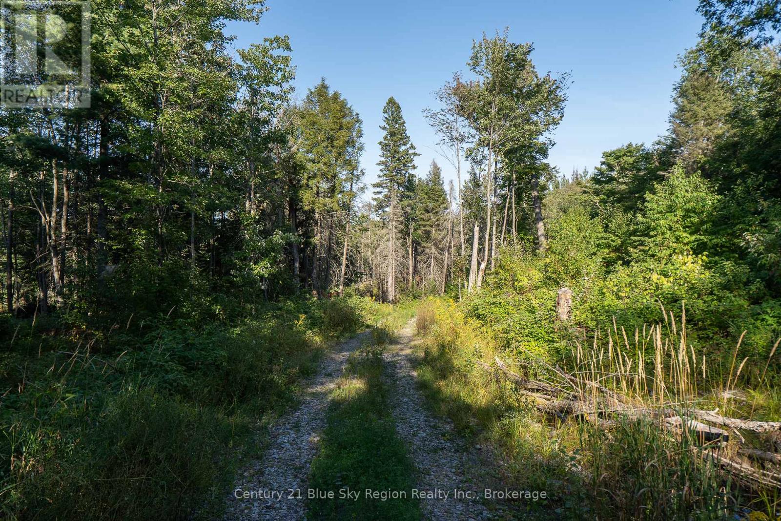 1060 Lot 7 Four Mile Lake Road, North Bay (Airport), Ontario  P1B 8G2 - Photo 8 - X12387802