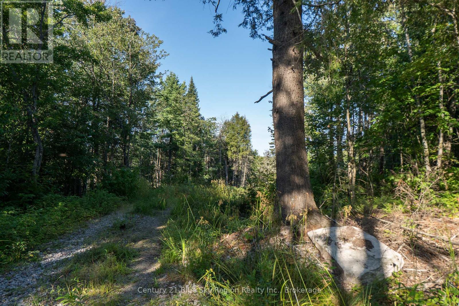 1060 Lot 7 Four Mile Lake Road, North Bay (Airport), Ontario  P1B 8G2 - Photo 7 - X12387802