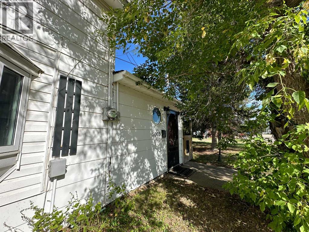 5003 51 Street, Lougheed, Alberta  T0B 2V0 - Photo 39 - A2205506