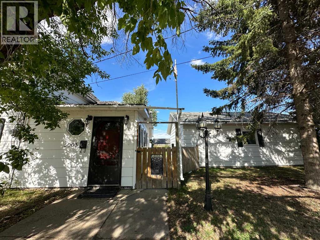 5003 51 Street, Lougheed, Alberta  T0B 2V0 - Photo 4 - A2205506
