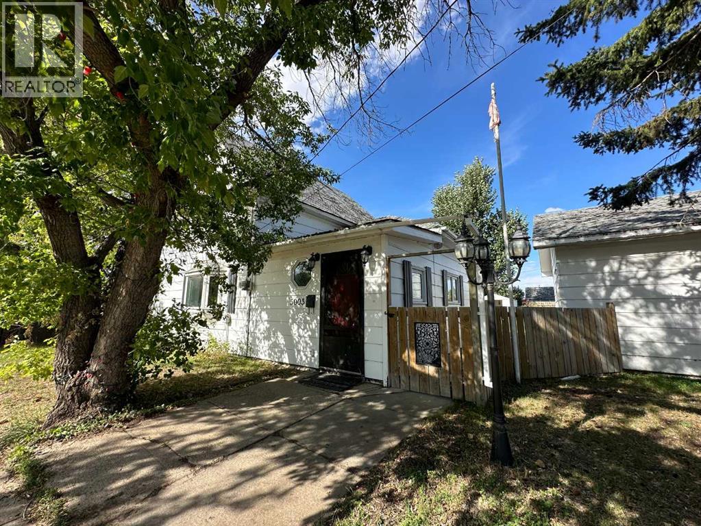 5003 51 Street, Lougheed, Alberta  T0B 2V0 - Photo 5 - A2205506