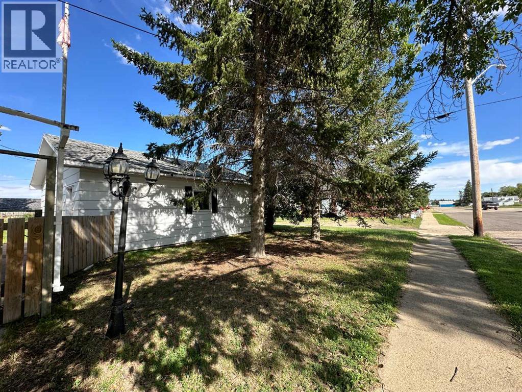 5003 51 Street, Lougheed, Alberta  T0B 2V0 - Photo 36 - A2205506