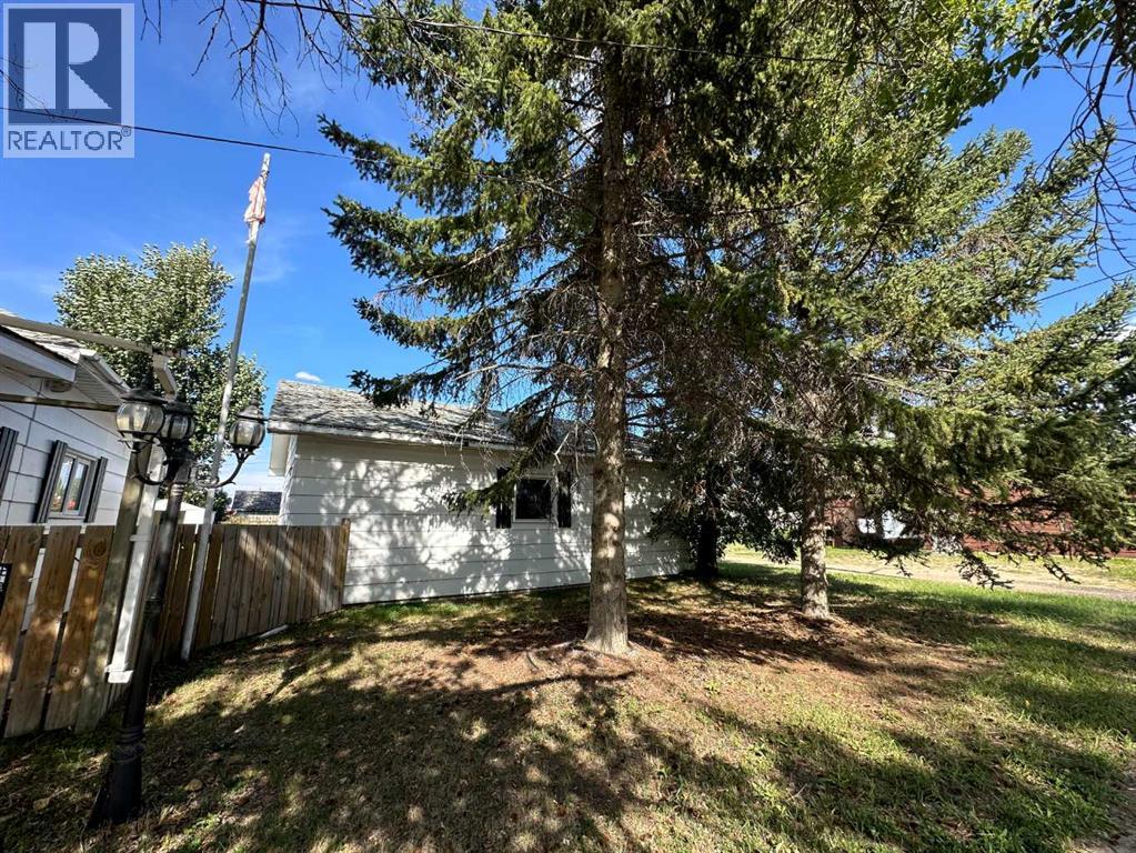 5003 51 Street, Lougheed, Alberta  T0B 2V0 - Photo 32 - A2205506