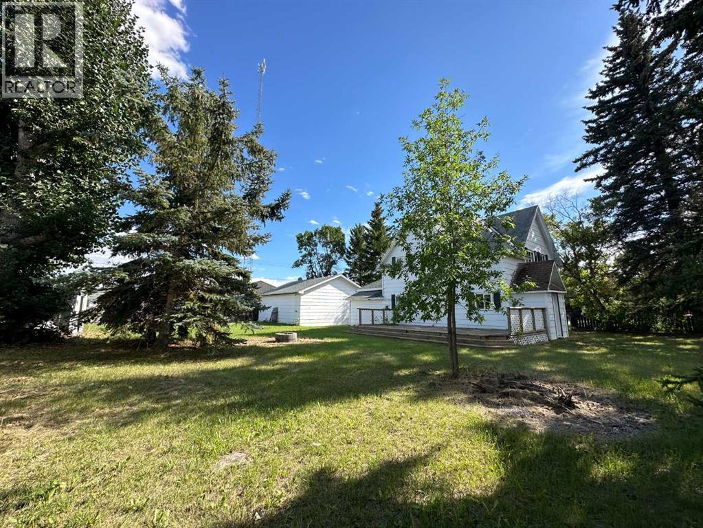 5003 51 Street, Lougheed, Alberta  T0B 2V0 - Photo 37 - A2205506