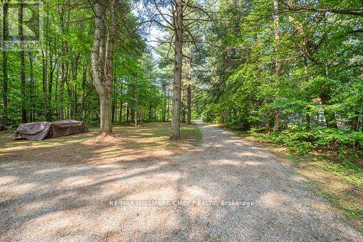 4310 Canal Road, Severn, Ontario  L0K 2B0 - Photo 6 - S12392742