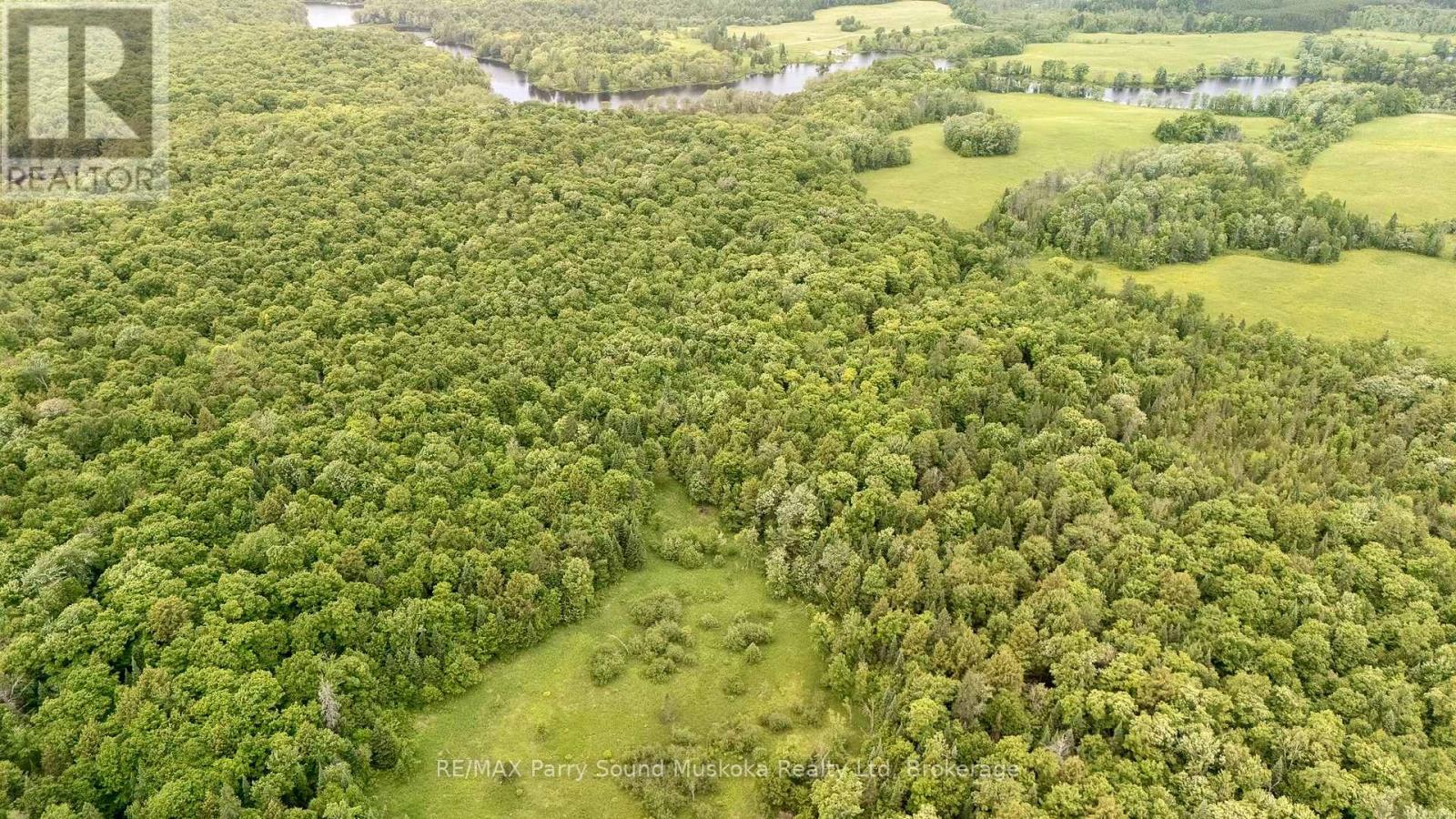 372 Mcdougall Road, Mcdougall, Ontario  P2A 0B3 - Photo 9 - X12392874
