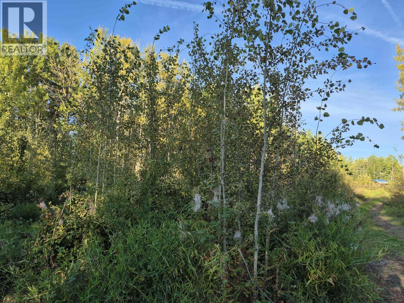 Lot A Garvie Road, Fort St. James, British Columbia  V0J 1P0 - Photo 3 - R3044555