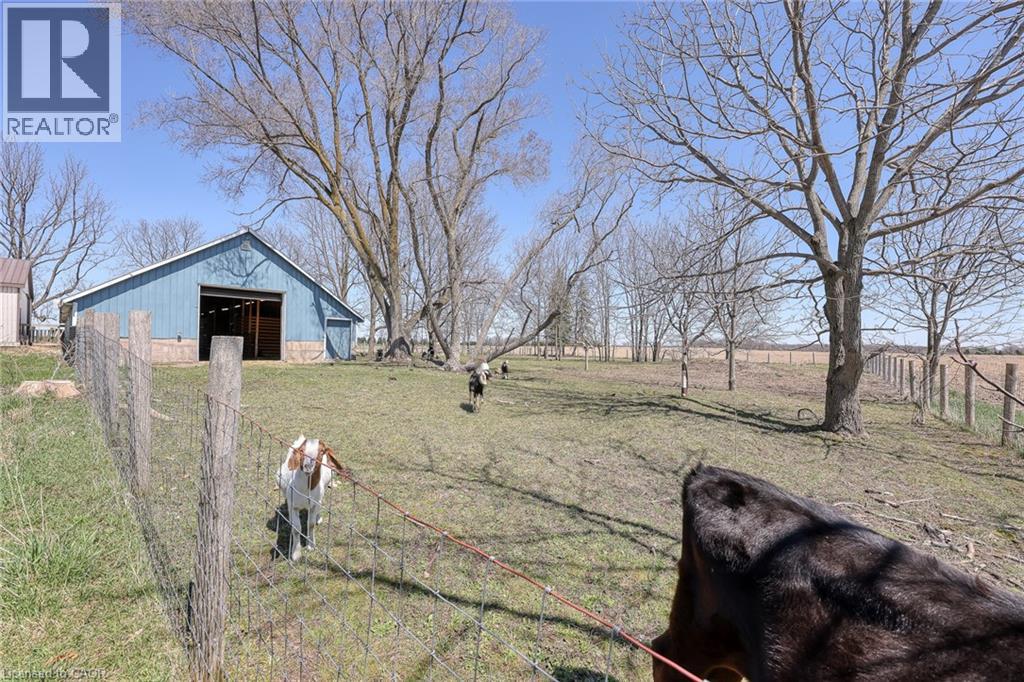 3892 Lewis Road Road, Mossley, Ontario  N0L 1V0 - Photo 18 - 40768184