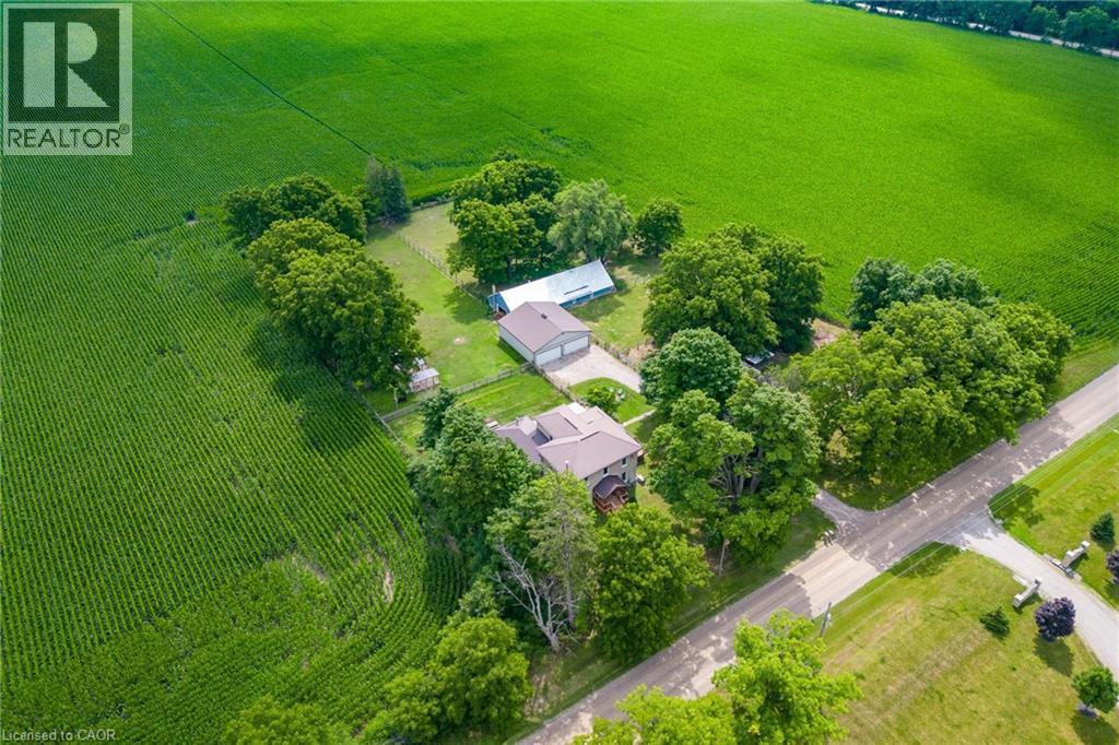 3892 Lewis Road Road, Mossley, Ontario  N0L 1V0 - Photo 2 - 40768184