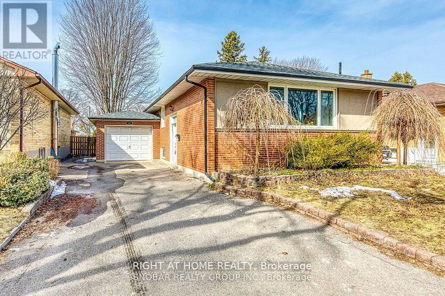 Basement - 24 Ludgate Drive, Toronto, Ontario  M9W 2Y3 - Photo 1 - W12393223