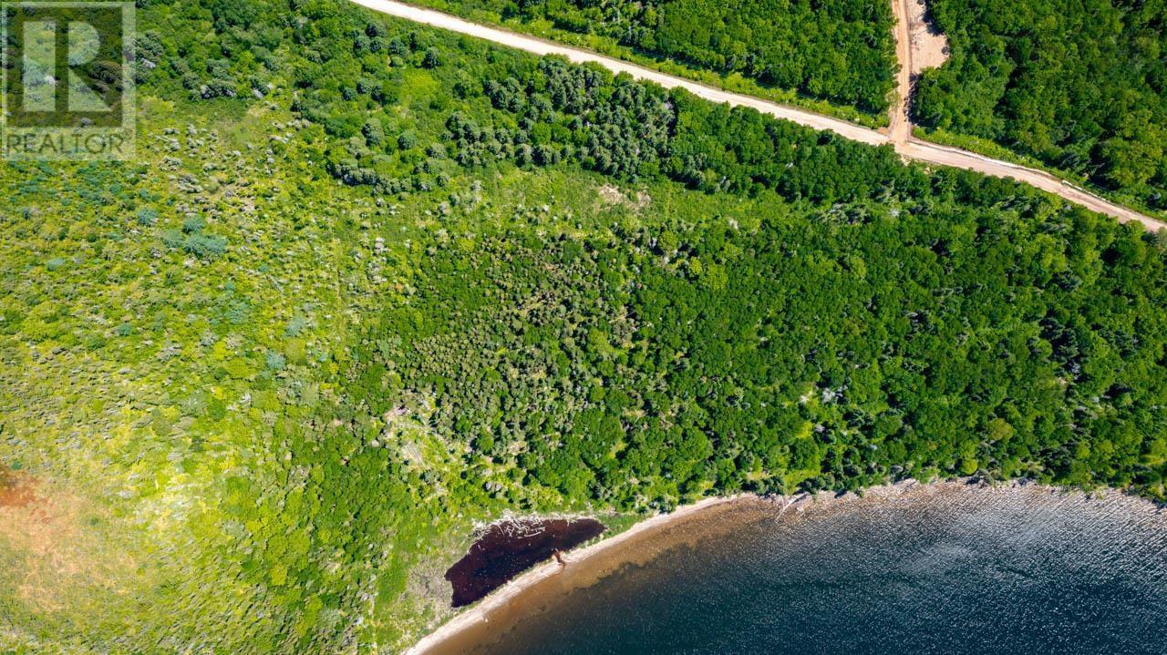 Lot 3 South Cove Road, South Cove, Nova Scotia  B0E 1T0 - Photo 39 - 202506198