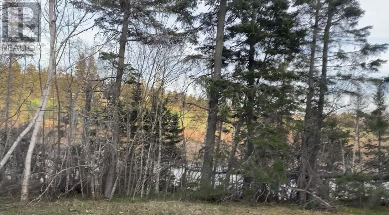 Lot Stead Road - 7.8 Waterfront, Wheatley River, Prince Edward Island  C0A 1N0 - Photo 8 - 202522857