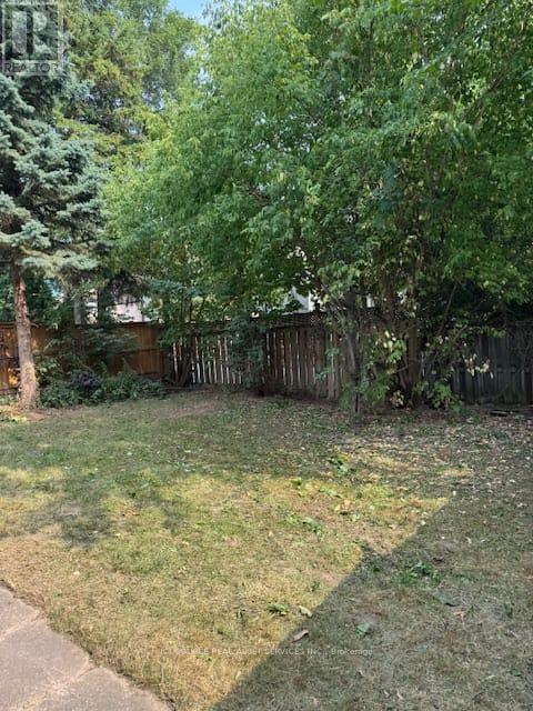 Upper - 241 Burnett Avenue, Toronto, Ontario  M2N 1V9 - Photo 3 - C12393347