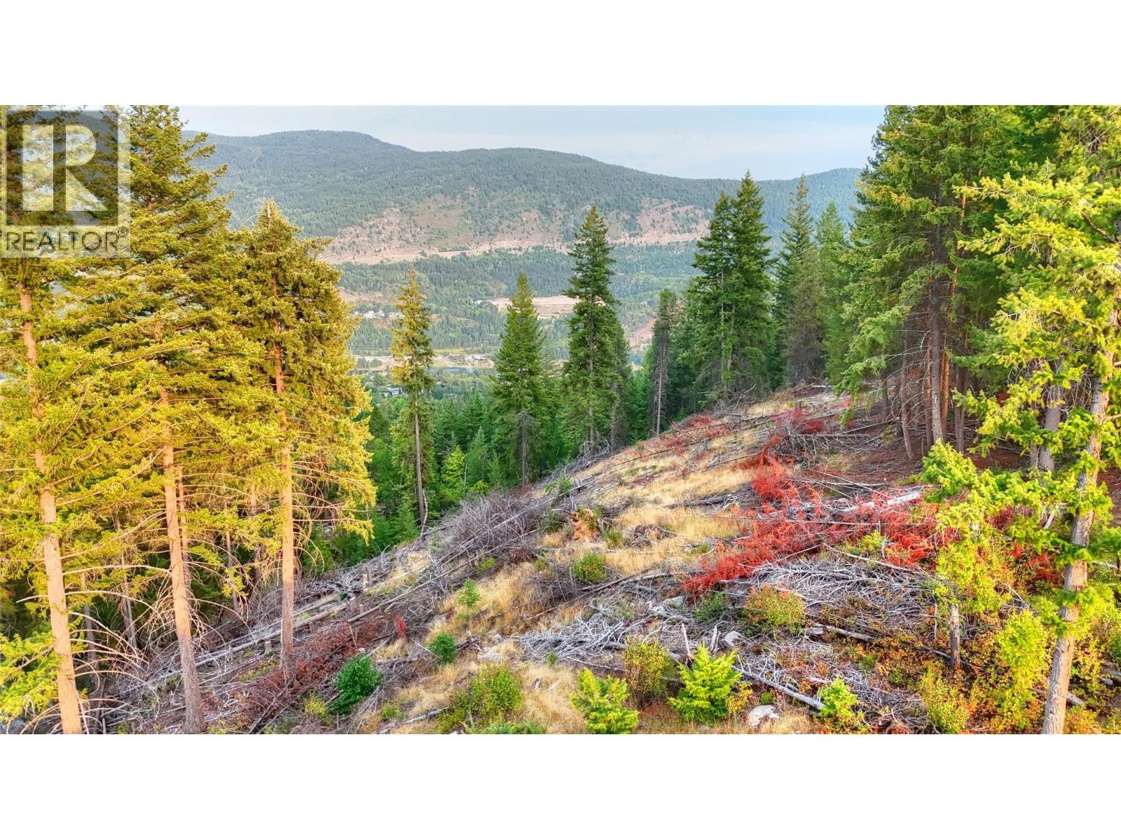 3400 14 Avenue, Castlegar, British Columbia  V1N 4J2 - Photo 5 - 10362331