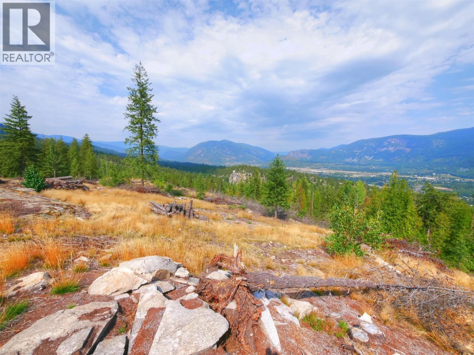 3400 14 Avenue, Castlegar, British Columbia  V1N 4J2 - Photo 7 - 10362331