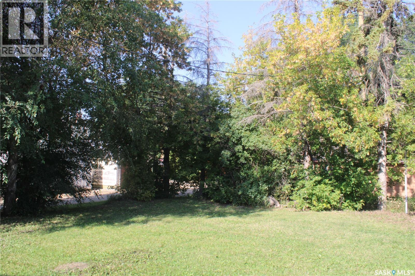6 Main Street, Theodore, Saskatchewan  S0A 4C0 - Photo 18 - SK017900