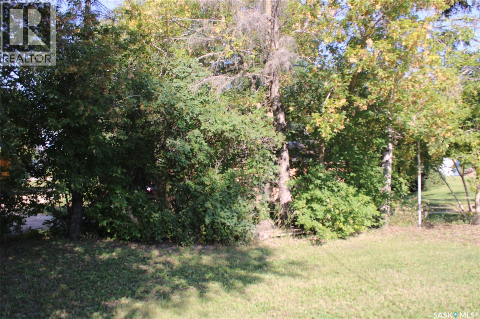 6 Main Street, Theodore, Saskatchewan  S0A 4C0 - Photo 17 - SK017900