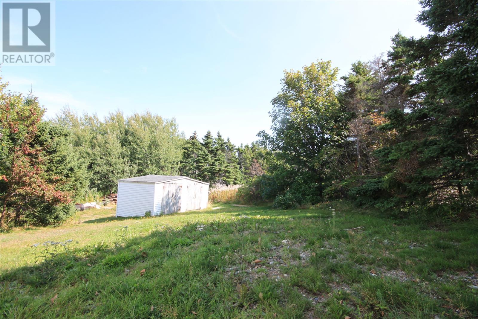 80 Main Road, Brownsdale, Newfoundland & Labrador  A0B 1H0 - Photo 3 - 1290160
