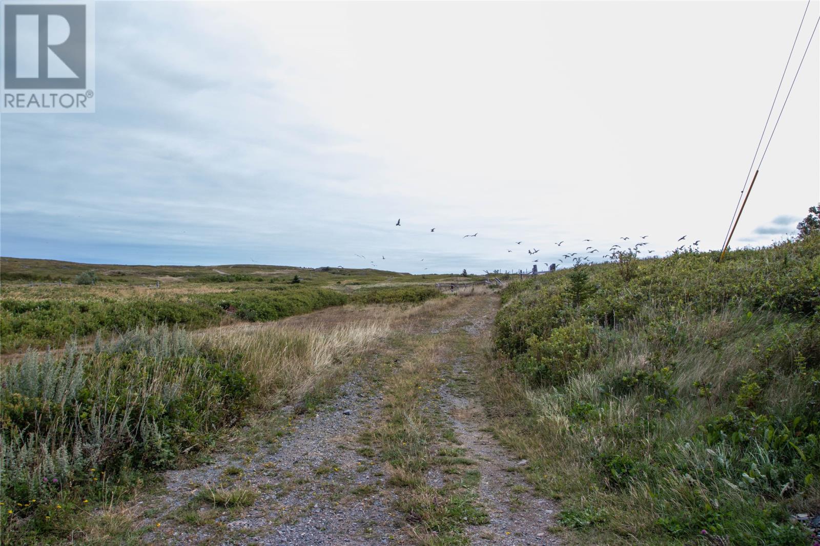 6 Heath Crescent, Bonavista, Newfoundland & Labrador  A0C 1B0 - Photo 23 - 1290204