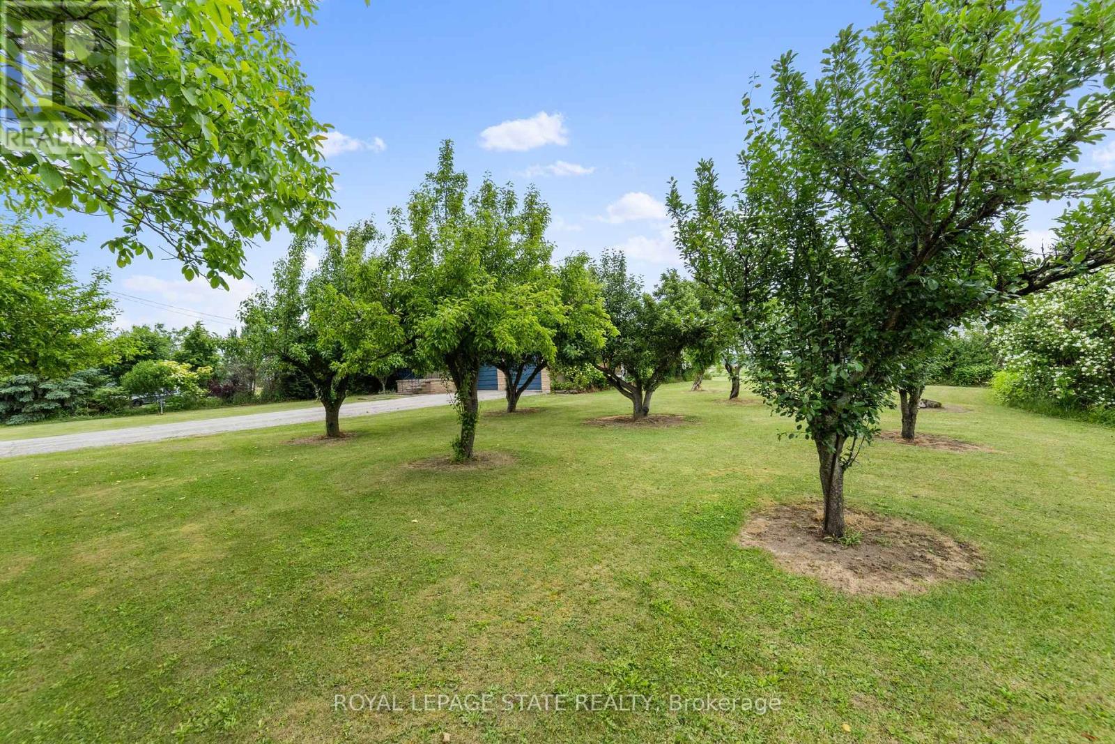 240 Mud Street W, Grimsby, Ontario  L0R 1M0 - Photo 21 - X12391234