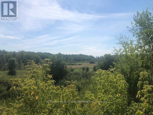 3931 Wallace Point Road, Otonabee-South Monaghan, Ontario  K9J 0E4 - Photo 10 - X12393540