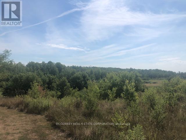 3931 Wallace Point Road, Otonabee-South Monaghan, Ontario  K9J 0E4 - Photo 11 - X12393540