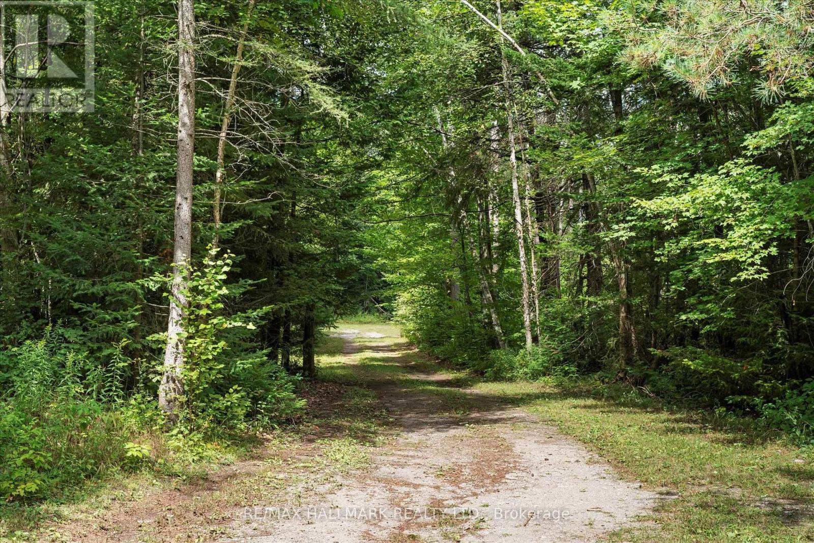 67 Telecom Road, Kawartha Lakes, Ontario  L0A 1K0 - Photo 46 - X12393450
