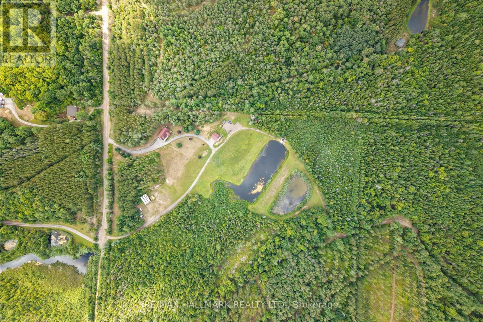 67 Telecom Road, Kawartha Lakes, Ontario  L0A 1K0 - Photo 49 - X12393450