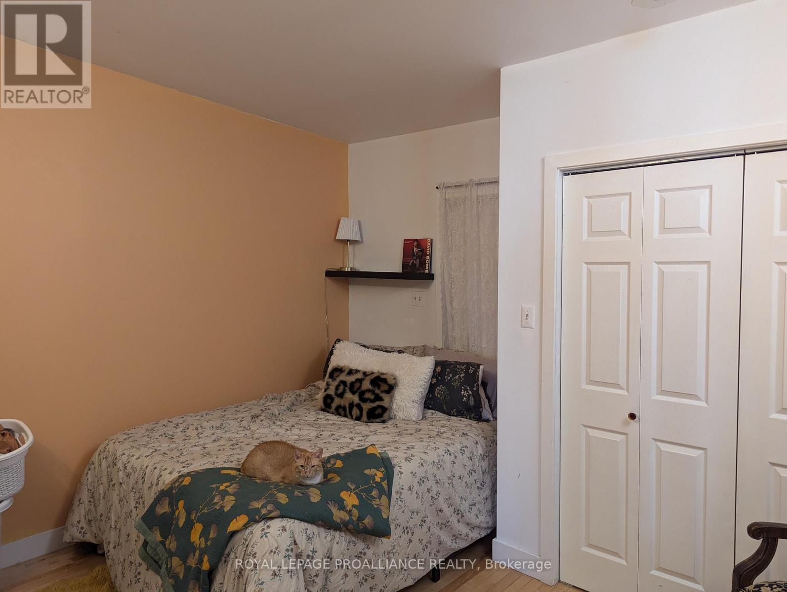 432 George Street N, Peterborough, Ontario  K9H 3R5 - Photo 15 - X12393687