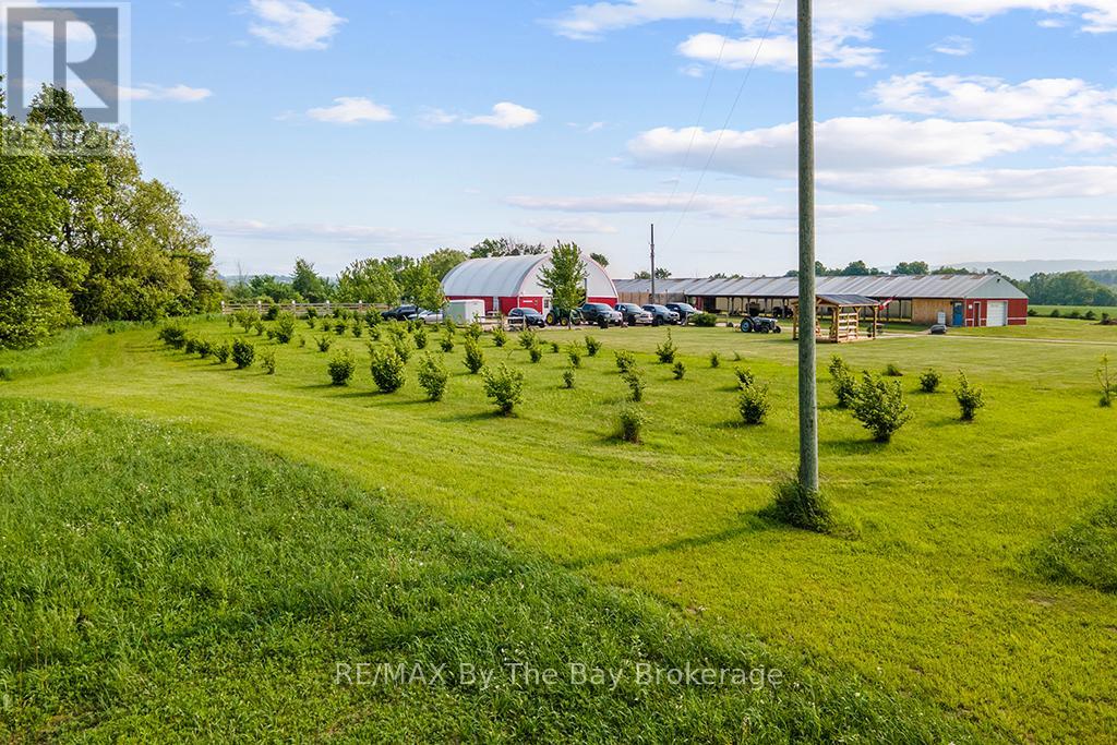 828482 Mulmur Nottawasaga Townline, Mulmur, Ontario  L9V 0Y9 - Photo 46 - X12393691