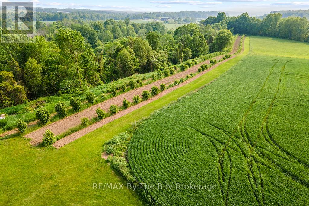 828482 Mulmur Nottawasaga T Line, Mulmur, Ontario  L9V 0N9 - Photo 35 - X12393712