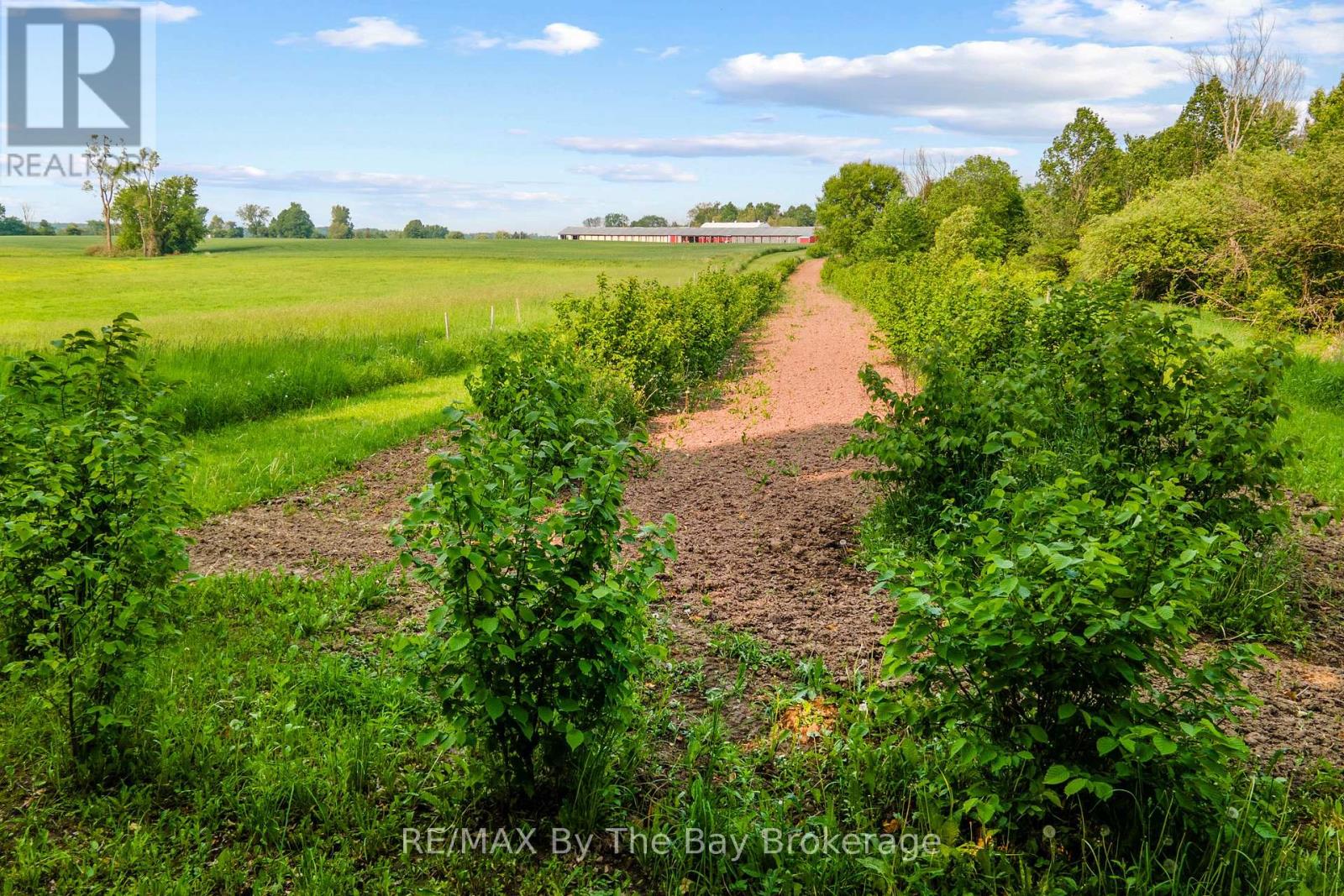 828482 Mulmur Nottawasaga T Line, Mulmur, Ontario  L9V 0N9 - Photo 36 - X12393712