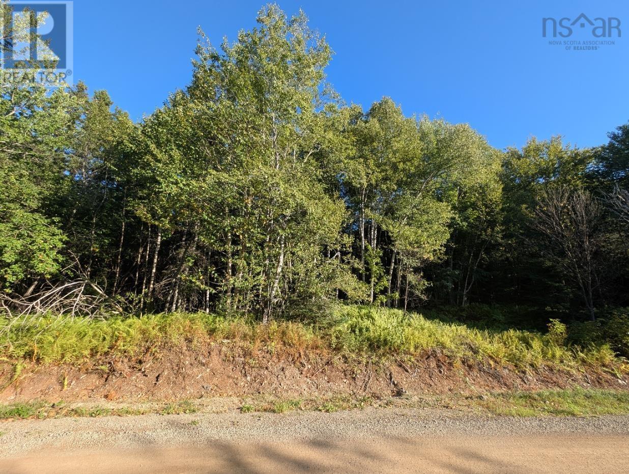 Glen Albert Drive, Big Pond, Nova Scotia  B1J 1R6 - Photo 14 - 202522731
