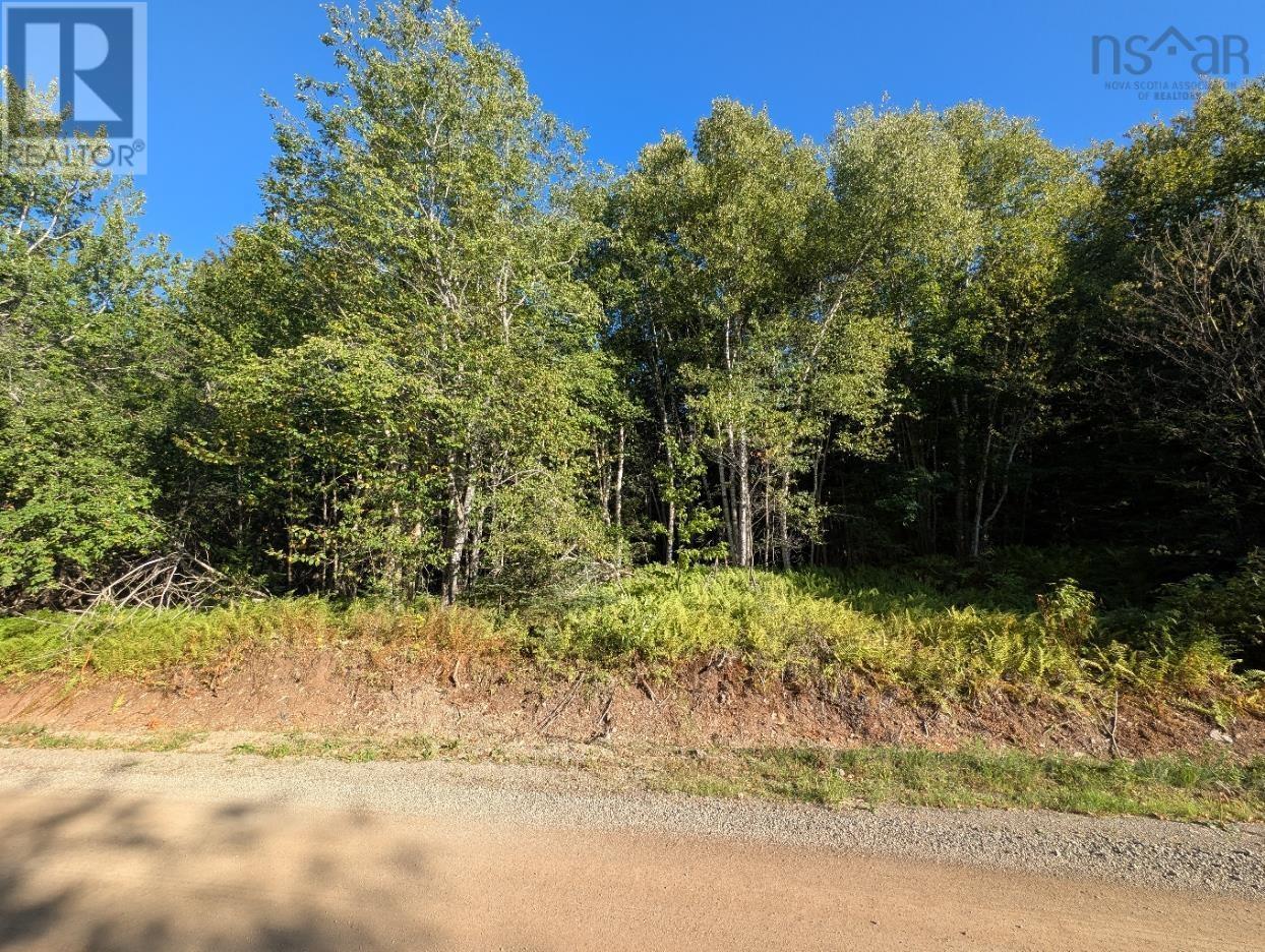 Glen Albert Drive, Big Pond, Nova Scotia  B1J 1R6 - Photo 15 - 202522731