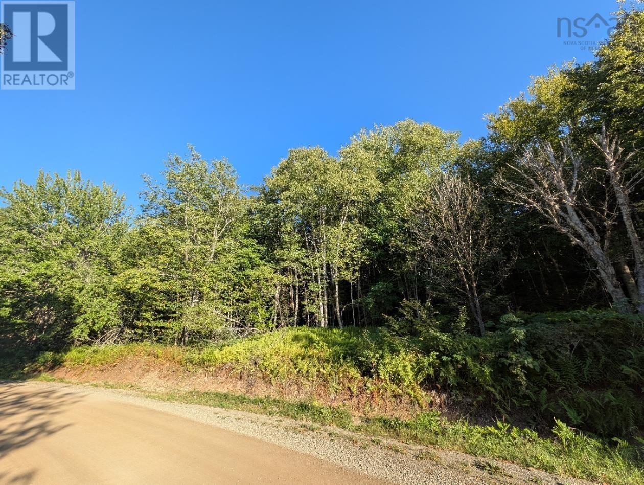Glen Albert Drive, Big Pond, Nova Scotia  B1J 1R6 - Photo 16 - 202522731