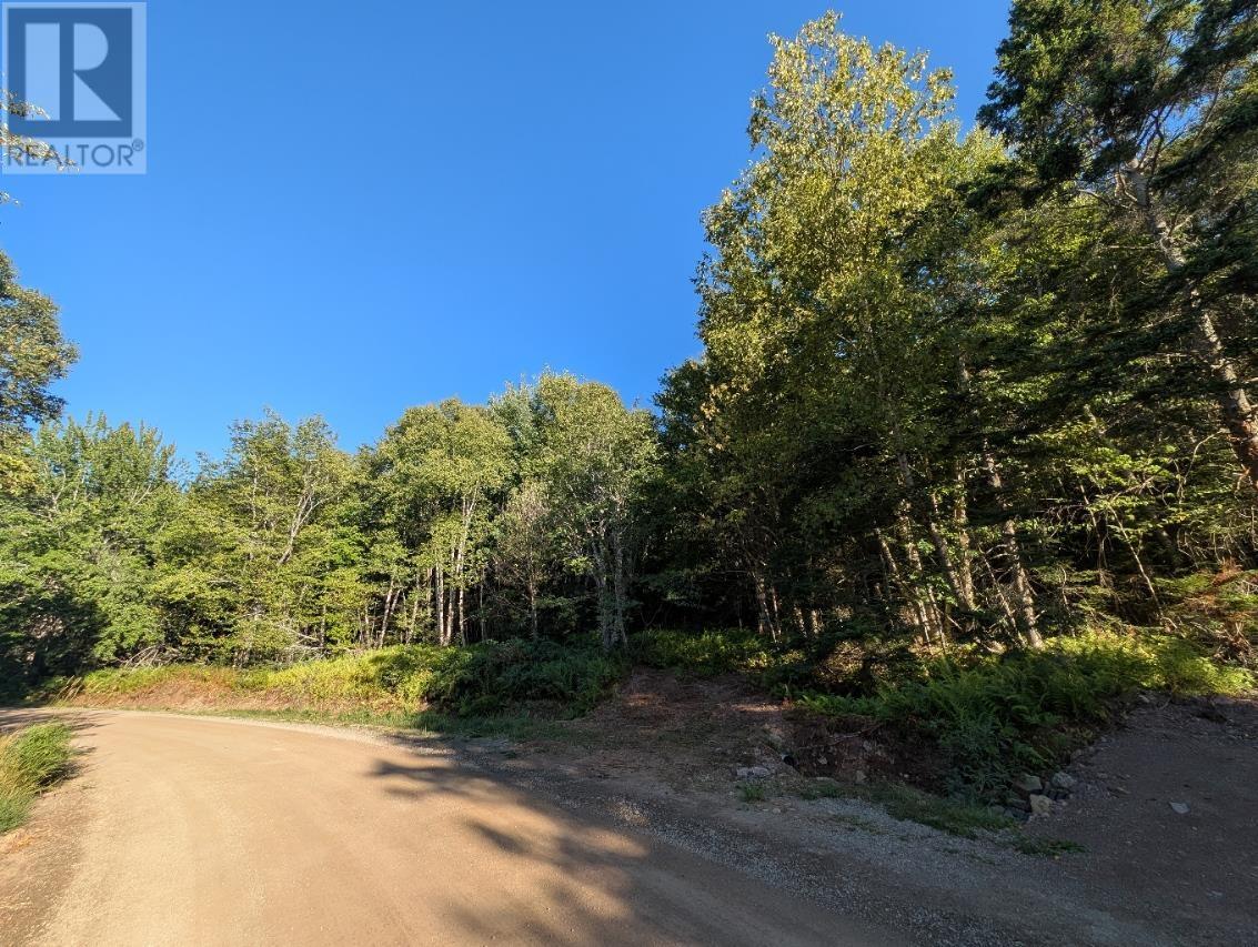 Glen Albert Drive, Big Pond, Nova Scotia  B1J 1R6 - Photo 17 - 202522731