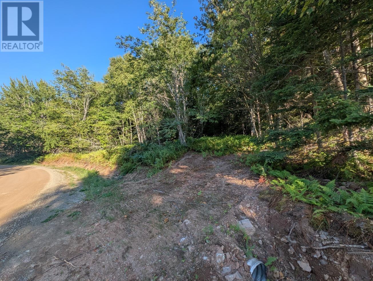 Glen Albert Drive, Big Pond, Nova Scotia  B1J 1R6 - Photo 18 - 202522731