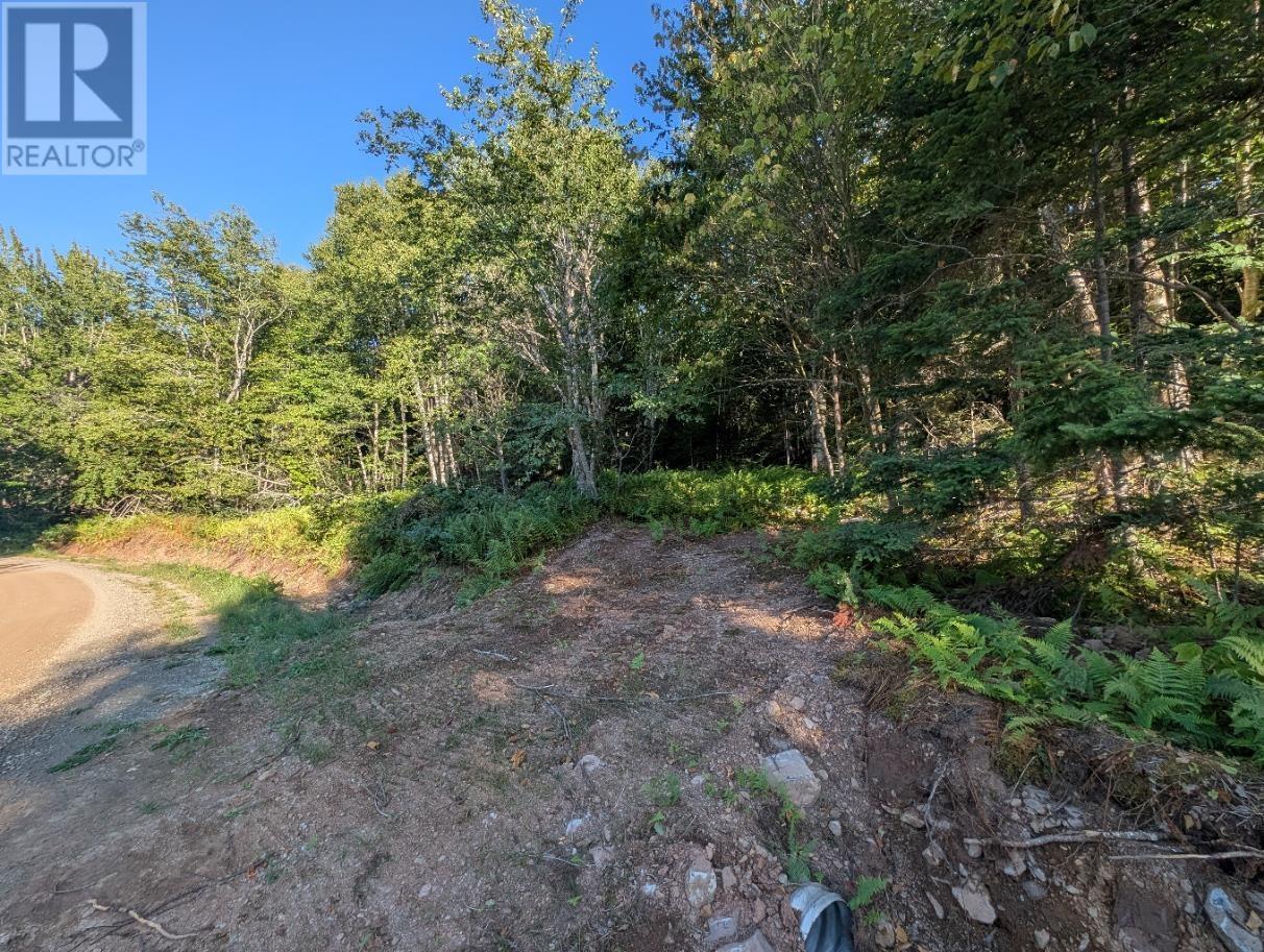 Glen Albert Drive, Big Pond, Nova Scotia  B1J 1R6 - Photo 19 - 202522731