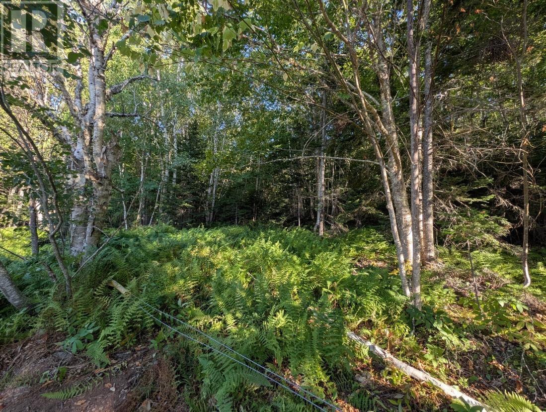 Glen Albert Drive, Big Pond, Nova Scotia  B1J 1R6 - Photo 20 - 202522731