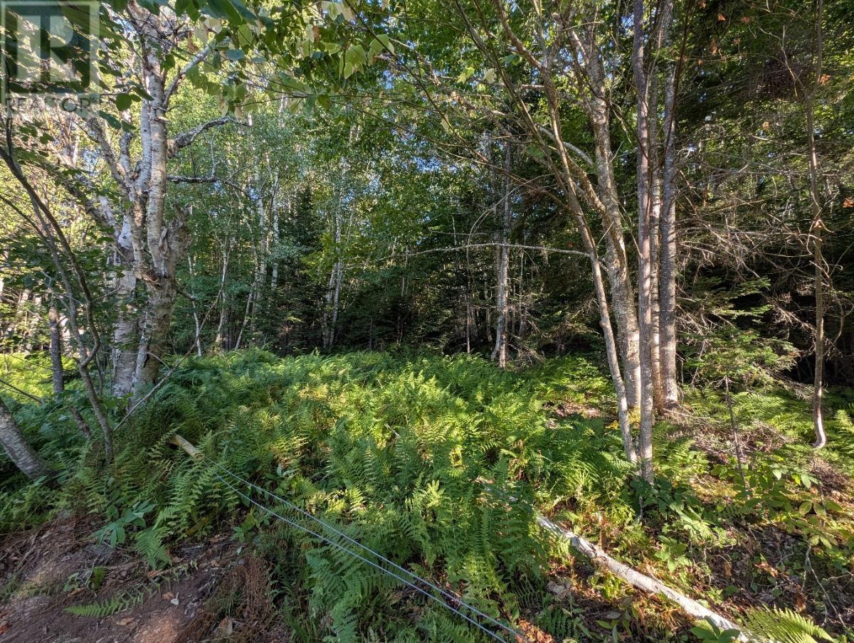 Glen Albert Drive, Big Pond, Nova Scotia  B1J 1R6 - Photo 21 - 202522731