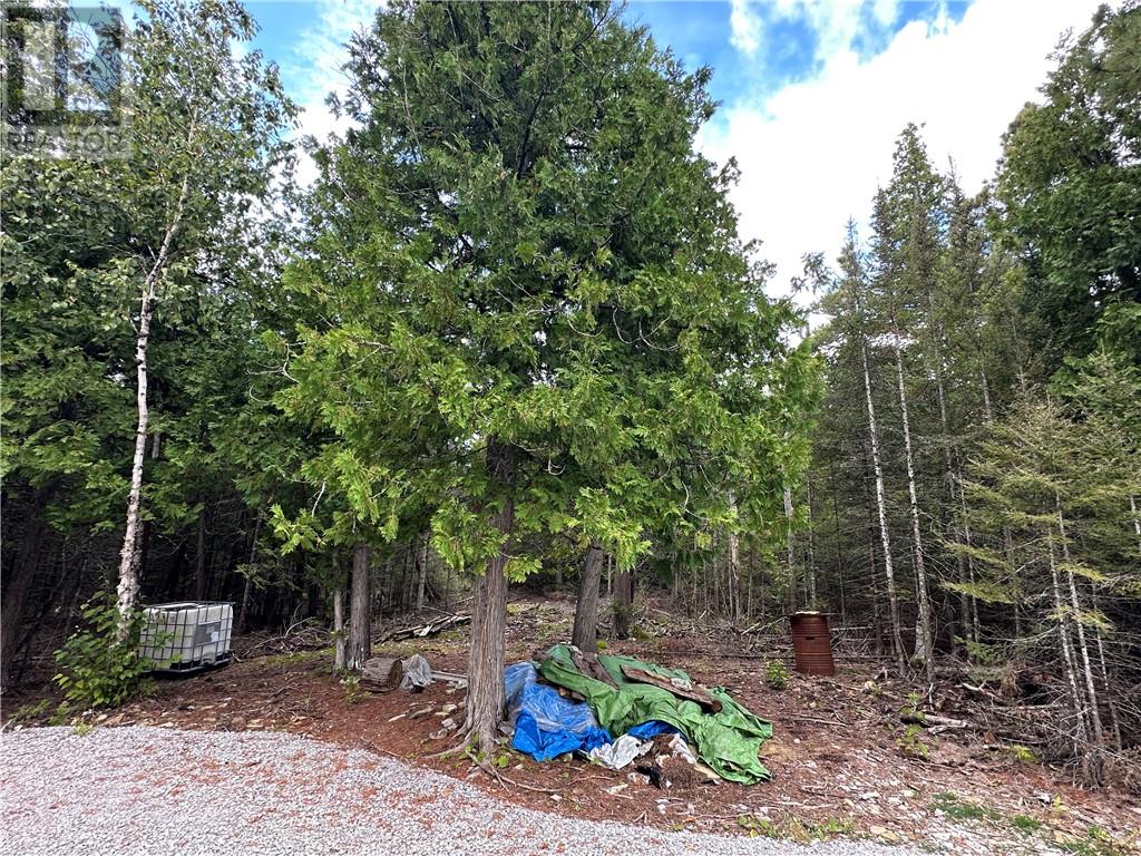 25657 Highway 540, Manitoulin Island, Ontario  P0P 1R0 - Photo 20 - 2124615