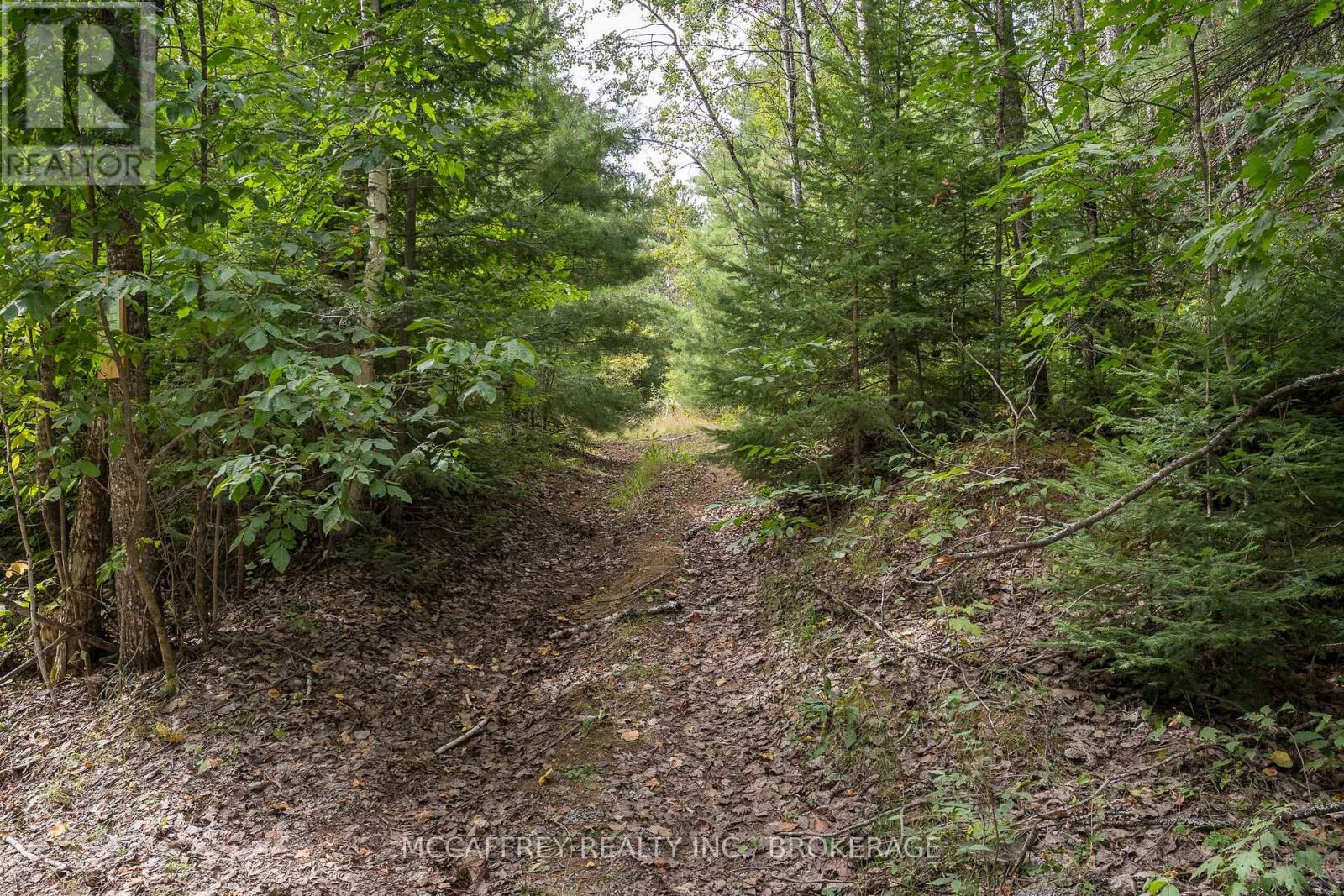 0 Flying Club Road, Greater Madawaska, Ontario  K7R 2Z6 - Photo 35 - X12393865